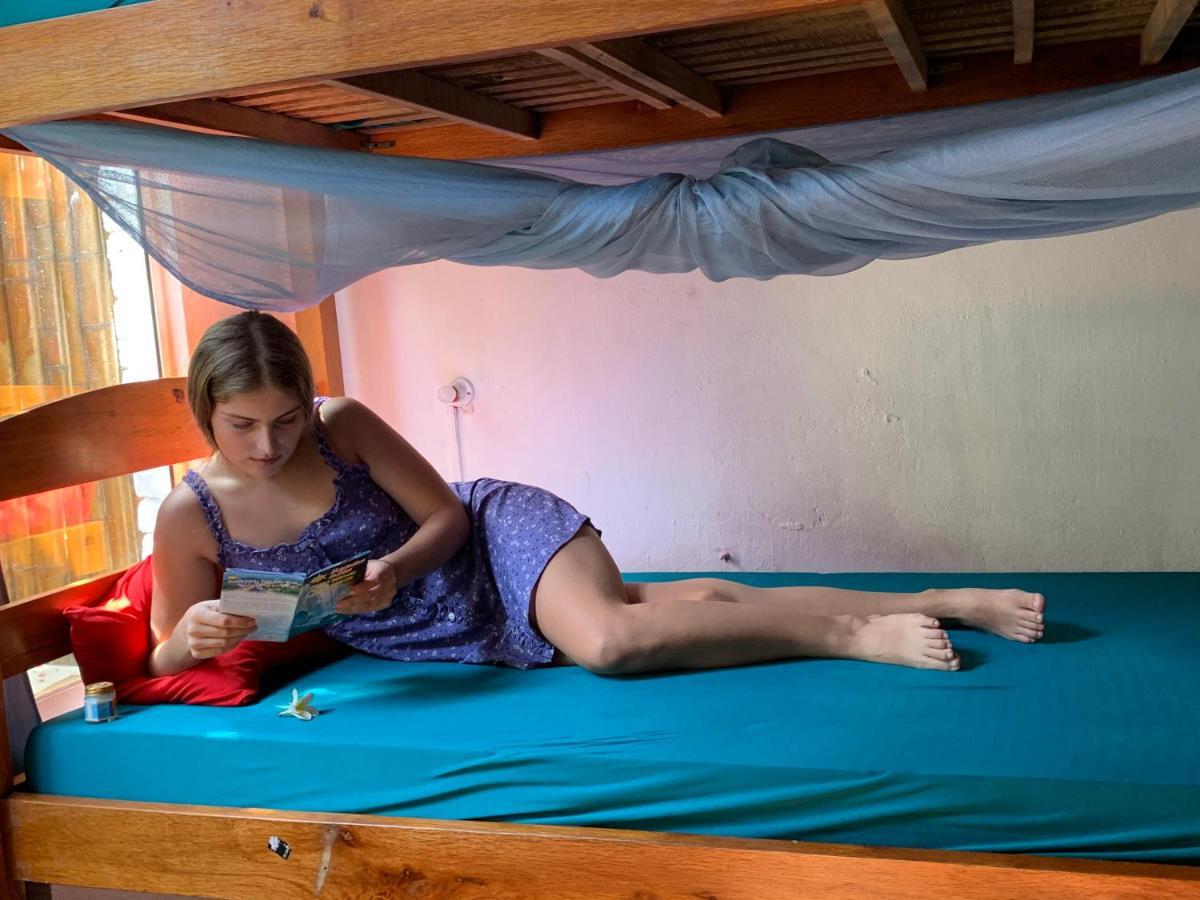 Serendipity Hoi An Hostel 외부 사진