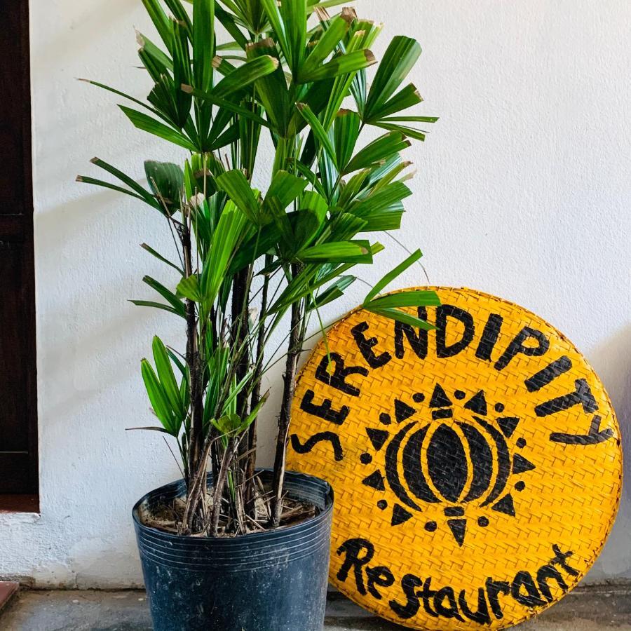 Serendipity Hoi An Hostel 외부 사진